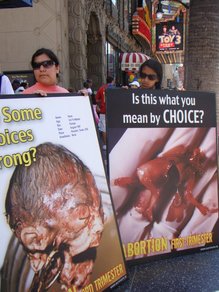 survivors kimmel 1.jpg